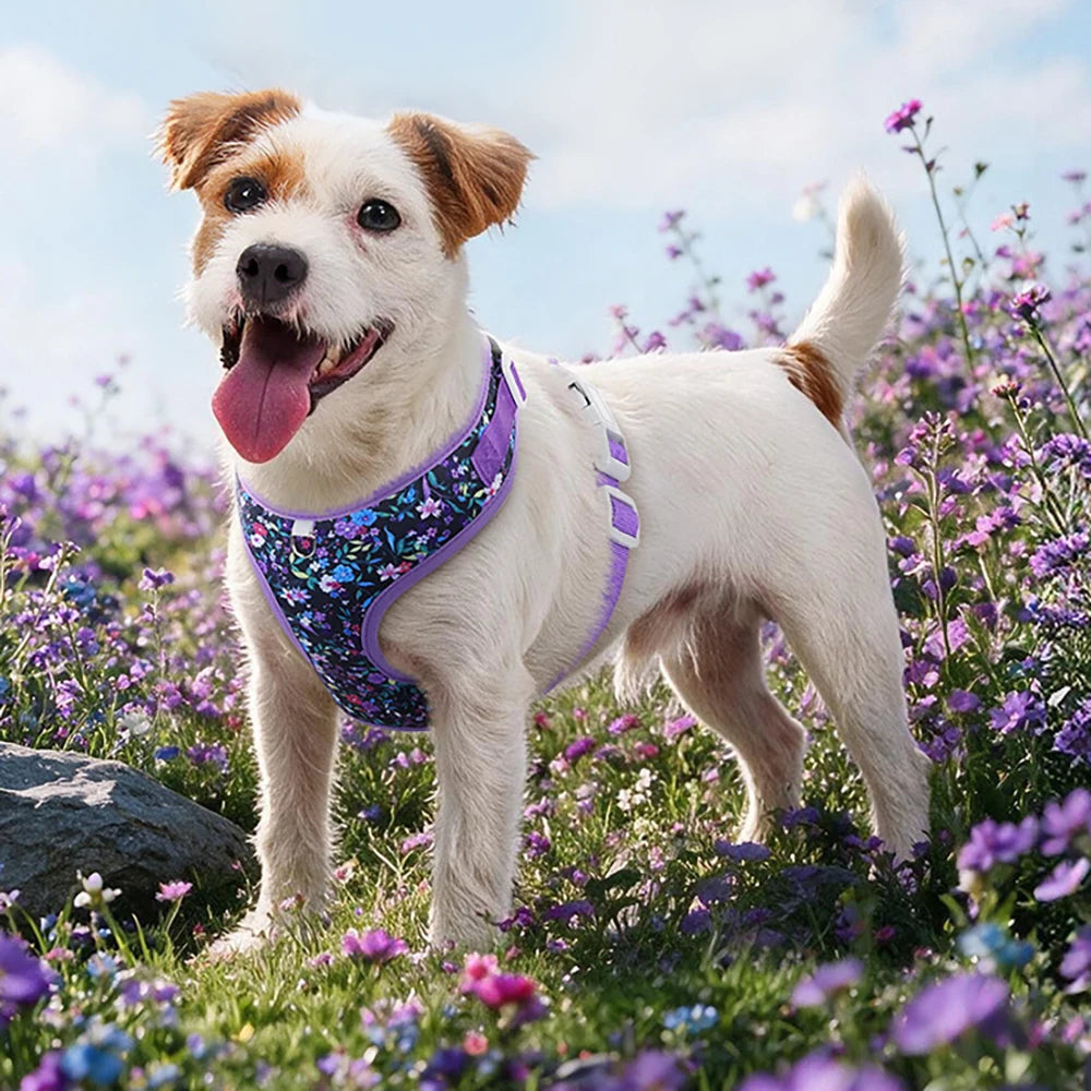 Flower Soft Pet Harness and Leash Set Breathable Vest for Small Dogs Cats Puppy Kitten Outdoor Walking Supplies