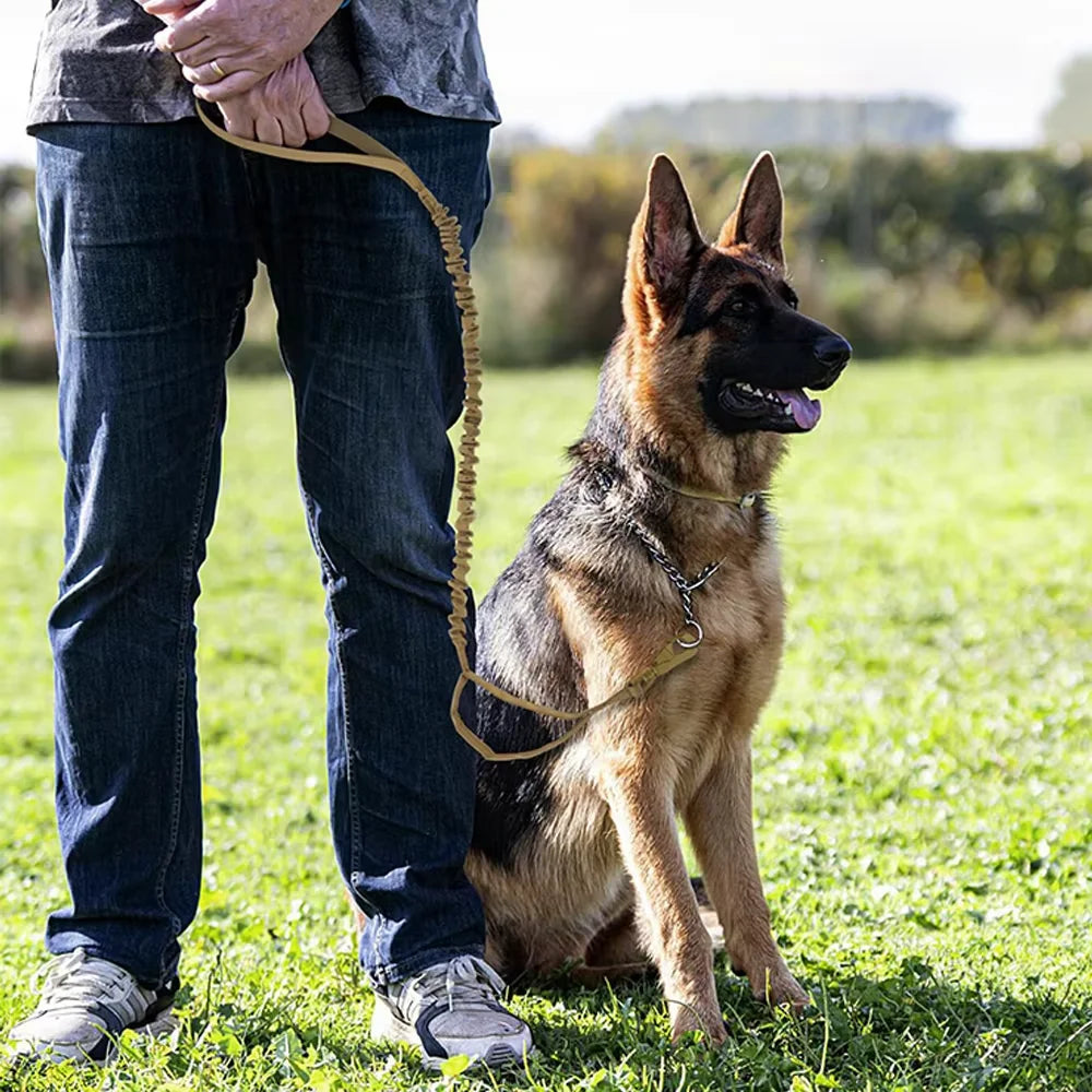 Military Dog Leashes Adjustable Leash Quick Release Elastic Rope with 2 Control Handle for Medium and Small Dogs Accessories