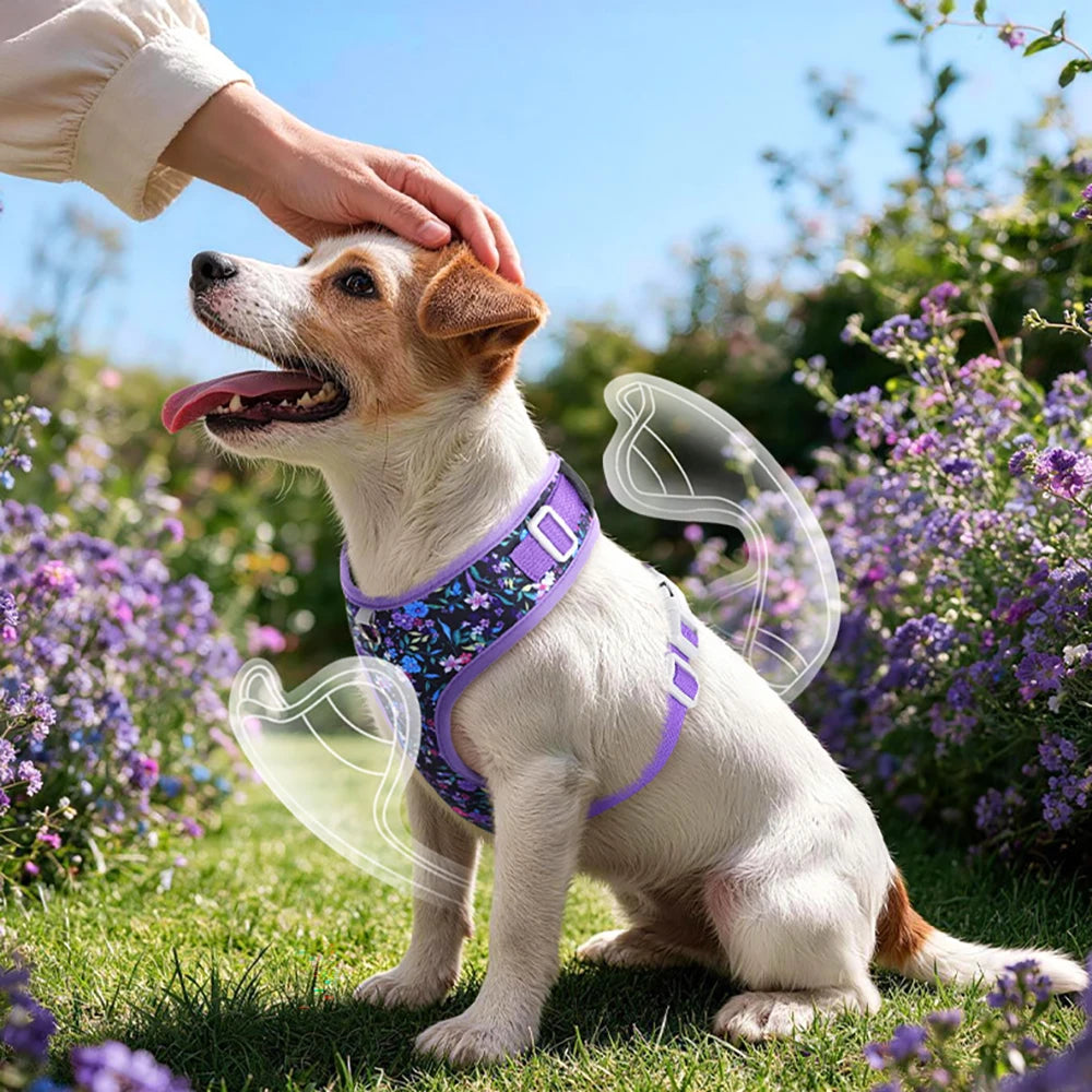 Flower Soft Pet Harness and Leash Set Breathable Vest for Small Dogs Cats Puppy Kitten Outdoor Walking Supplies