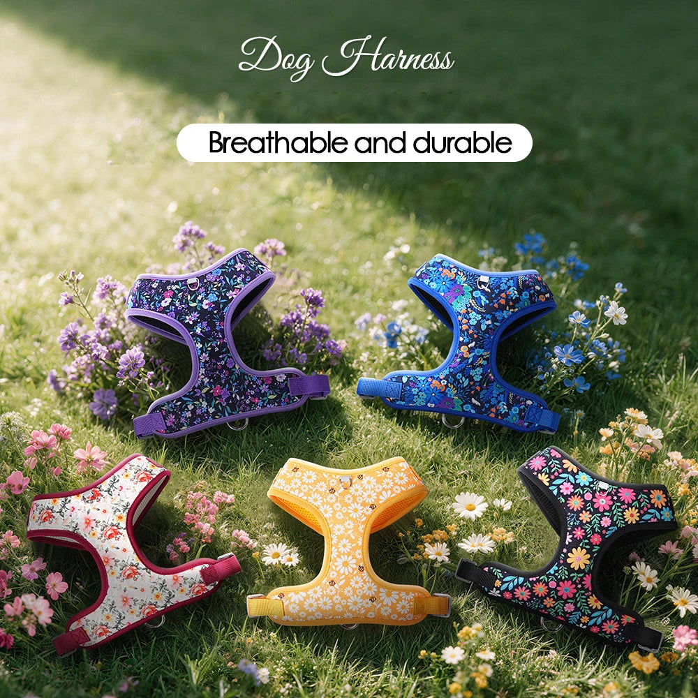 Flower Soft Pet Harness and Leash Set Breathable Vest for Small Dogs Cats Puppy Kitten Outdoor Walking Supplies