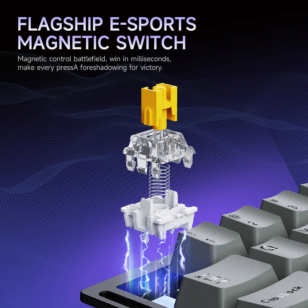 AK029 Wired Gaming Magnetic Switch Magnetic Rice Switch HIFI Edition, RGB Backlight, DIY Support
