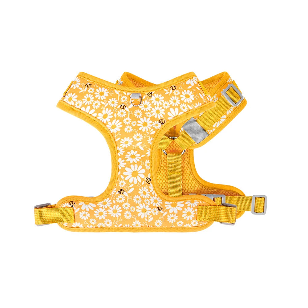 Flower Soft Pet Harness and Leash Set Breathable Vest for Small Dogs Cats Puppy Kitten Outdoor Walking Supplies